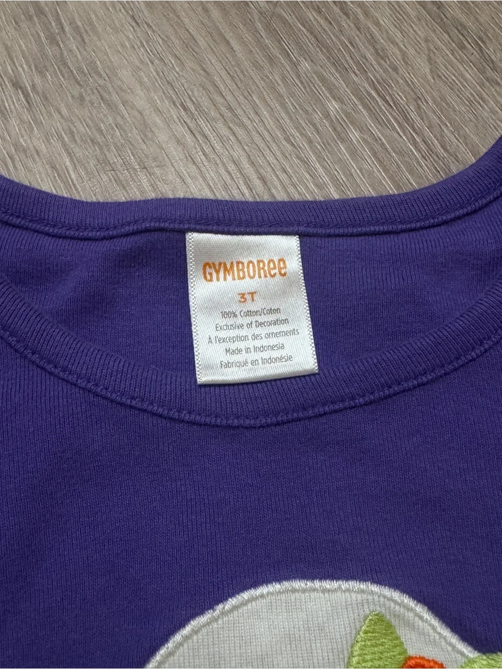 Gymboree Purple Halloween Ghost Top and Leggings Set